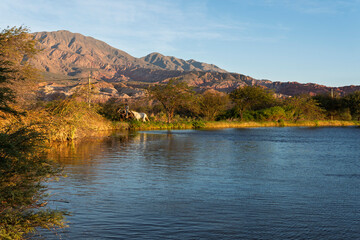 autumn landscape with lake