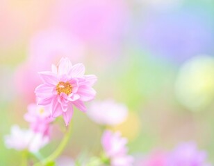 Delicate Pink Flower Against a Colorful Blurred Background in Spring