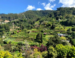 Lush Green Terraced Garden with Vibrant Flowers Under Clear Blue Sky