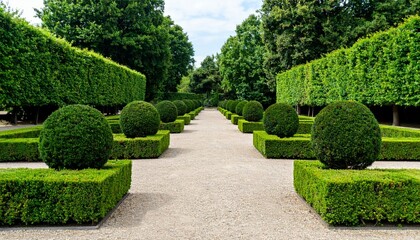 Lush Green Garden Pathway with Symmetrical Topiary and Trimmed Hedges