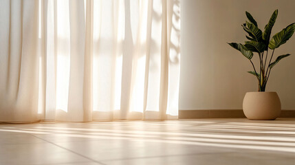Sunlight and shadow play on floor with sheer curtain and plant