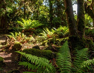 Lush Green Ferns and Trees in a Vibrant Forest Scene with Sunlight
