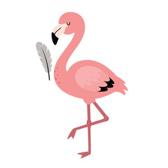 Pink flamingo standing on one leg with feather illustration in simple style for nature and animal themes