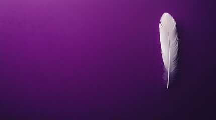White feather on a purple background