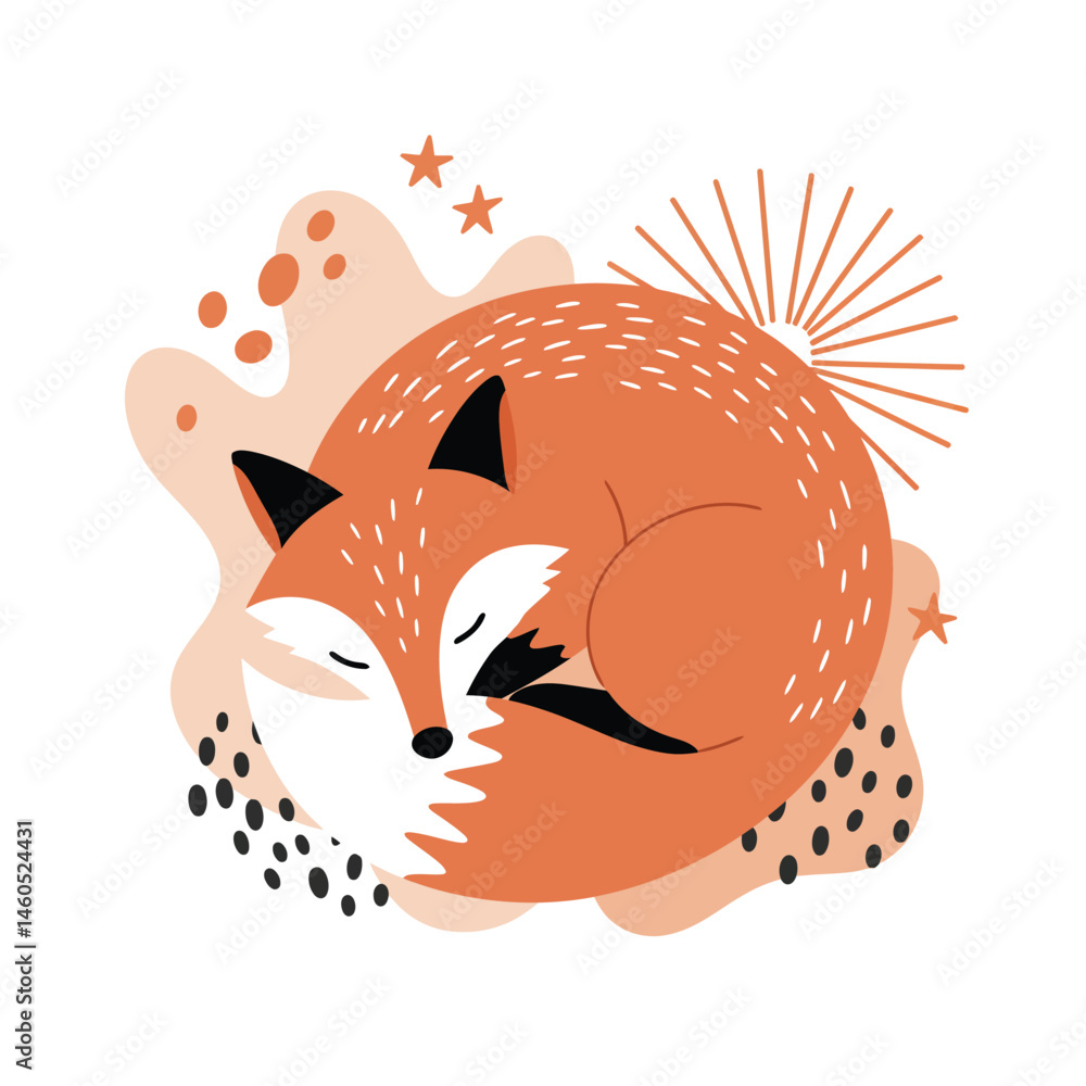 Poster red fox sleeping curled up vector illustration with abstract background and decorative elements in w