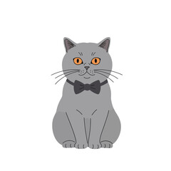 Obraz premium Gray cat with orange eyes wearing black bow tie sitting front view vector illustration 