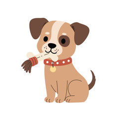 Cute dog with gray ears and pink collar interacting with butterfly on nose vector illustration 