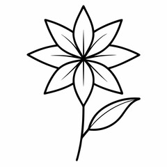 vector illustration of a plant