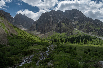 Obraz premium Wide angle landscape lush green valley, forest, wild white water river surrounded by high rocky mountains and glacier peaks in the background. Summer sunny day, blue sky. Kyrgyzstan, Central Asia.