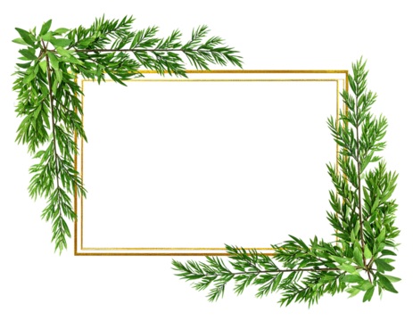 frame of fir branches