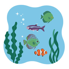 Obraz premium Colorful tropical fish swimming underwater with seaweed and bubbles vector illustration in blue background 