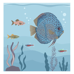 Fototapeta premium Colorful tropical fish underwater with aquatic plants ocean life vector illustration 
