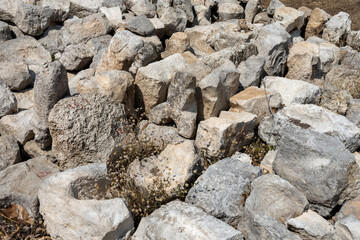 ancient stone texture background