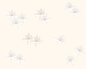 seamless white flower with pastel color background illustration. for printable or wrapping