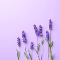 Naklejka premium lavender flowers on white background