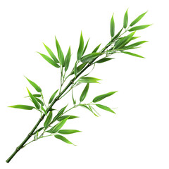 Lush green bamboo stalk with vibrant leaves isolated [Transparent Background PNG]. 