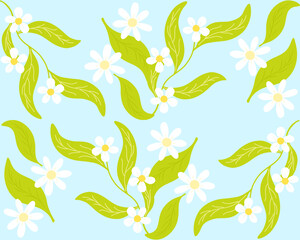 seamless chamomile flower and jasmine tea flower vector illustration. for wallpaper background. cute hand drawn for printable or wrapping