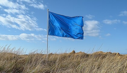 Blue flag billowing in windswept dunes