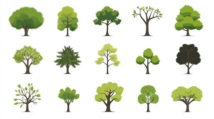 Diverse Tree Illustrations on White