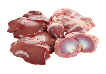 Liver isolated on transparent background