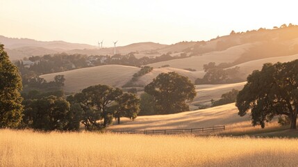 Fototapeta premium Golden hour landscape of rolling hills and grasslands.