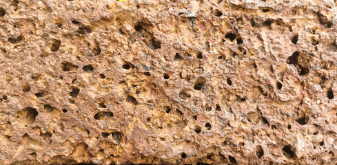 Details of the porous surface of volcanic rock.