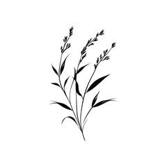 Naklejka premium Minimalist Black Grass Stalks on Transparent Background Line Art Design