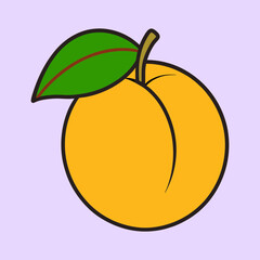 A single ripe apricot with a green leaf illustration vibrant yellow fruit summer healthy eating delicious sweet juicy stone fruit