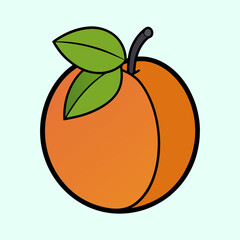 A single ripe apricot with two green leaves illustration