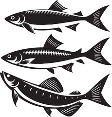 vector illustration of a fish white background