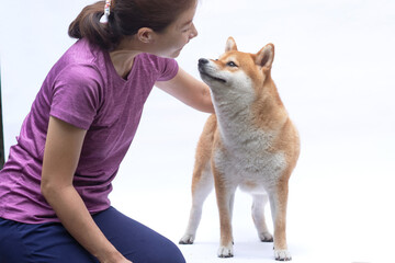 Pet owner playing and training her dog, and the dog looking at her like she was kissing her. Shiba...