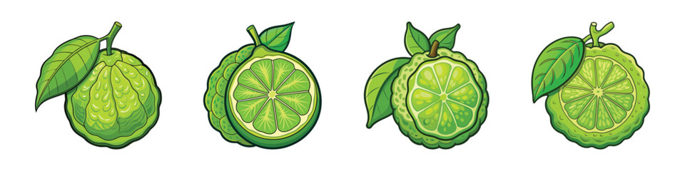 Illustration of Four Bergamot Citrus Fruits with Leaves in Cartoon Style