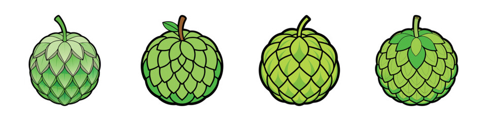 Four Varieties of Sugar Apples or Sweetsops on a White Background
