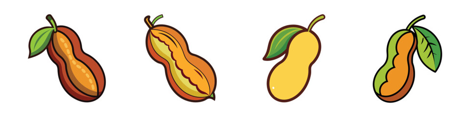 Peanut pods Illustration: A delightful illustration showcases a colorful array of peanut pods in various stages of ripeness. Each pod is depicted with intricate detail.