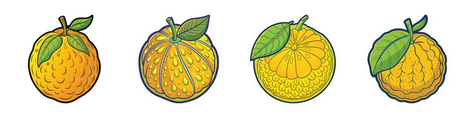 Sunshine Citrus Display: A vibrant assortment of ripe oranges, each exhibiting its unique texture, a symbol of freshness and health, making one's taste buds tingle with delight. 