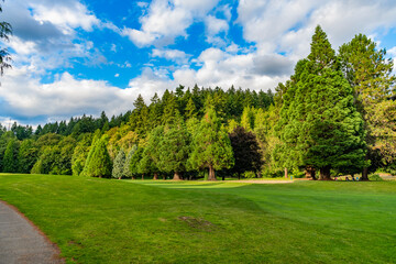 Green landscape with green grass. Nature landscape. Evergreen park landscape. Lush green forest park. Summer landscape in cloudy day. Environment and ecology. Green forest with cypress tree park