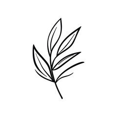 Minimalist Foliage Branch, Line Art Leaves on Transparent Background Design