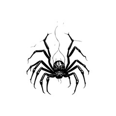 Detailed arachnid artwork features a hanging spider against a crack background