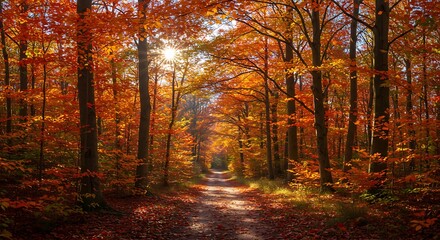 Fototapeta premium Sun-Kissed Ember Path AI Generated