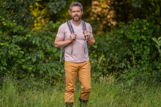 Male hiker walking in forest. Man traveler hike with backpack. Hiker adventure. Trekking life. Man hiking in countryside. Hispanic man in forest. Hiker with backpack hiking in forest