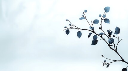 Delicate branch with leaves against a soft, hazy background