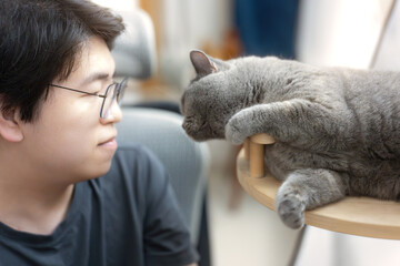 Asian Chinese male pet owner takes a photo with his cat while playing indoors
