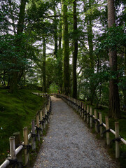 冬の兼六園の森と小道の風景