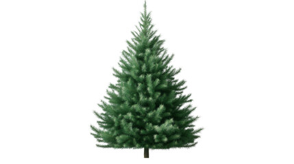 Fototapeta premium Christmas tree on white background
