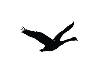Flying swan silhouette. This image features the dark outline of a gracefully soaring swan, symbolizing elegance, freedom, wildlife, and the beauty of birds in motion.  clipart illustration design.