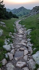 Rocky mountain trail at sunset
