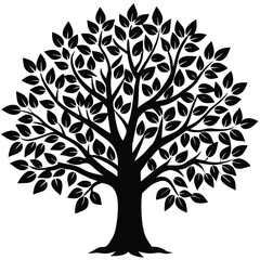 Obraz premium Black Silhouette of a Lush Full Leaf Tree