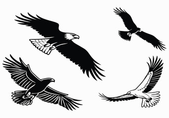 Flying Eagle Artwork Collection