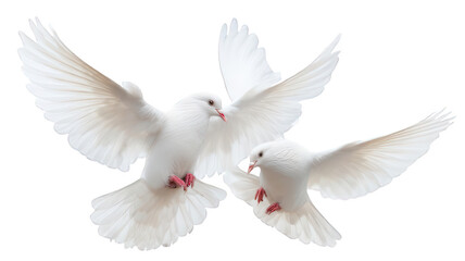 Fototapeta premium White Doves Flying with Minimal Shadow and Transparent Background