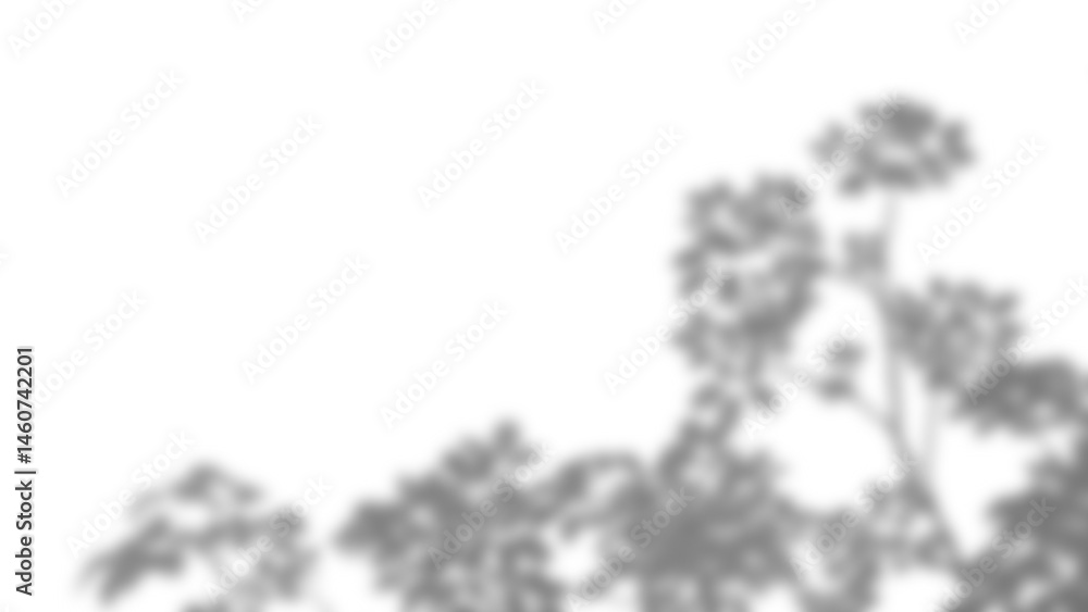 Poster Branch and leaf shadow overlay creates soft natural effect perfect for backgrounds or creative design with gentle organic shapes. Mockup for spring summer product display design elements PNG